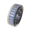 RSL183006 Full Complement cylindrical roller bearing without outer rings Planetary reducer bearing